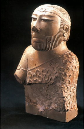 Priest King of Harappans Civilizations