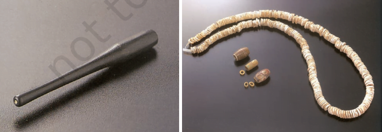 class 12 history,brick beads and bones Screenshot 2023 04 07 155533